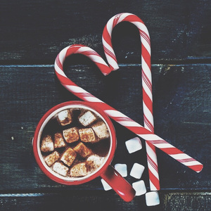 宝可梦美女裸体❌开腿网站
